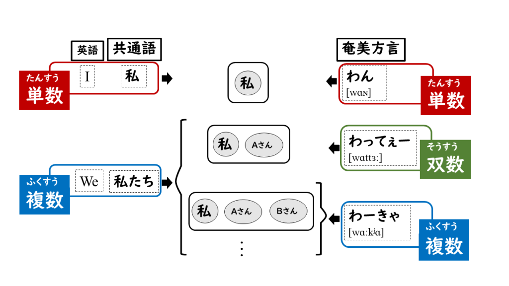 双数の説明図