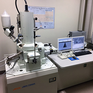電界放出型走査電子顕微鏡システム
